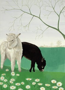 Asini e margherite da Maggie Rowe